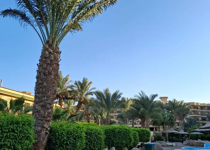 شقة Palma 169